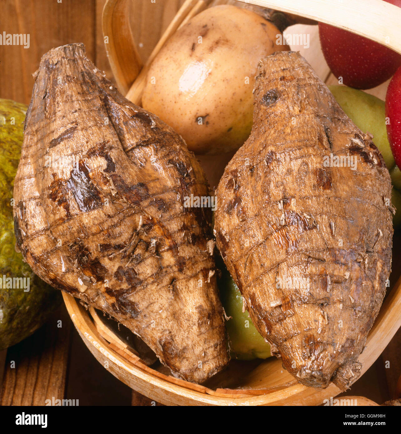Eddoe - auch bekannt als Taro oder '' Kandalla'' (Colocasia Esculenta)'' ' VEG080938 Stockfoto