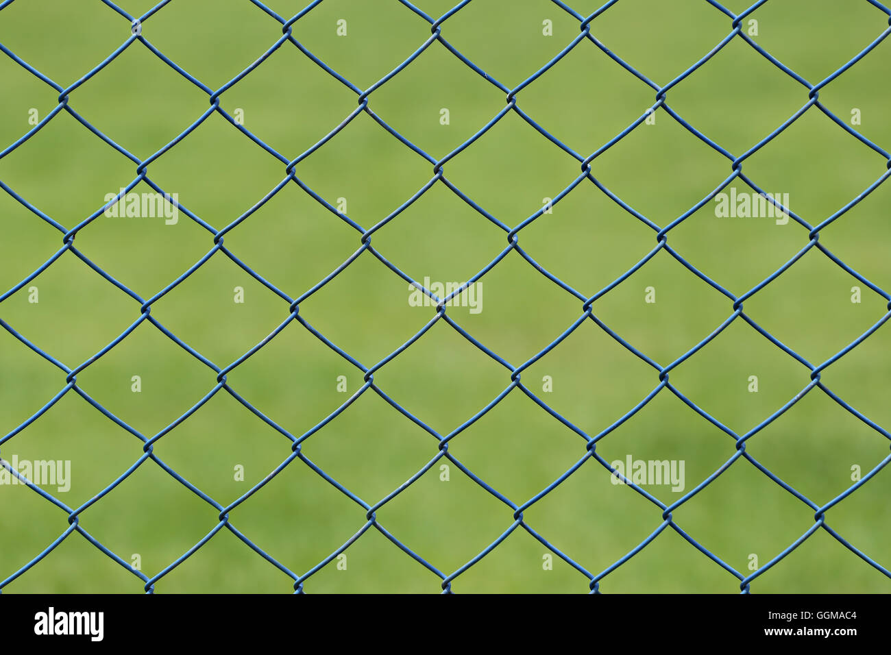 Drahtgeflecht oder Stahl-Käfig der grünen Rasen im Garten für Design-Hintergrund. Stockfoto
