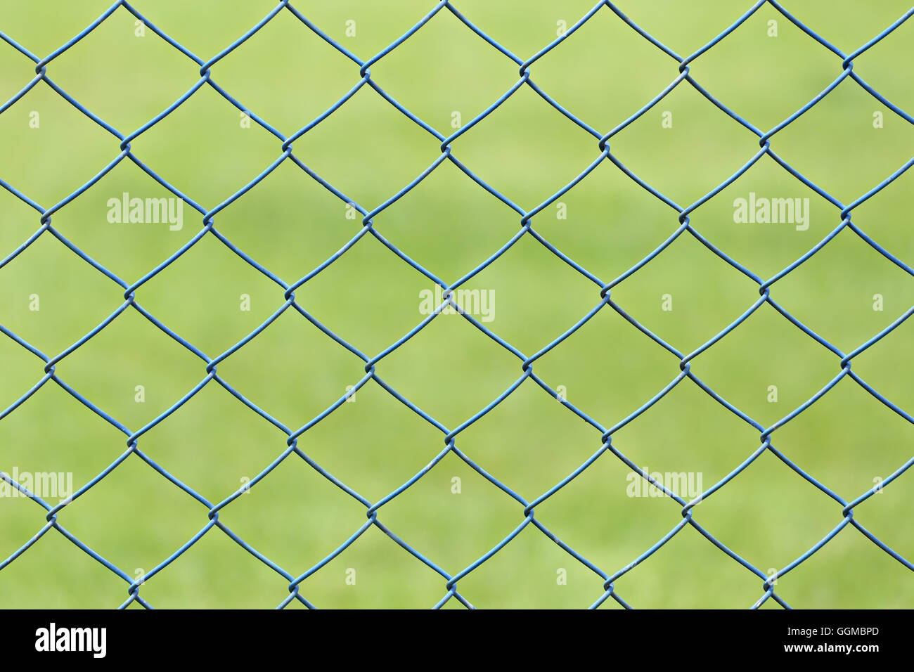 Drahtgeflecht oder Stahl-Käfig der grünen Rasen im Garten für Design-Hintergrund. Stockfoto