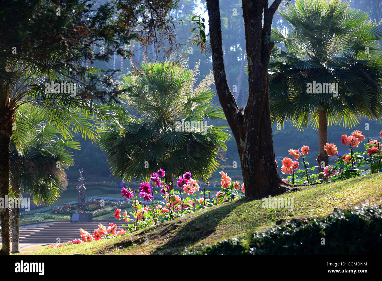 Doi Tung mit Mae Fah Luang-Palast Gärten in der Nähe von Mae Sai, Nord-Thailand, Thailand Stockfoto