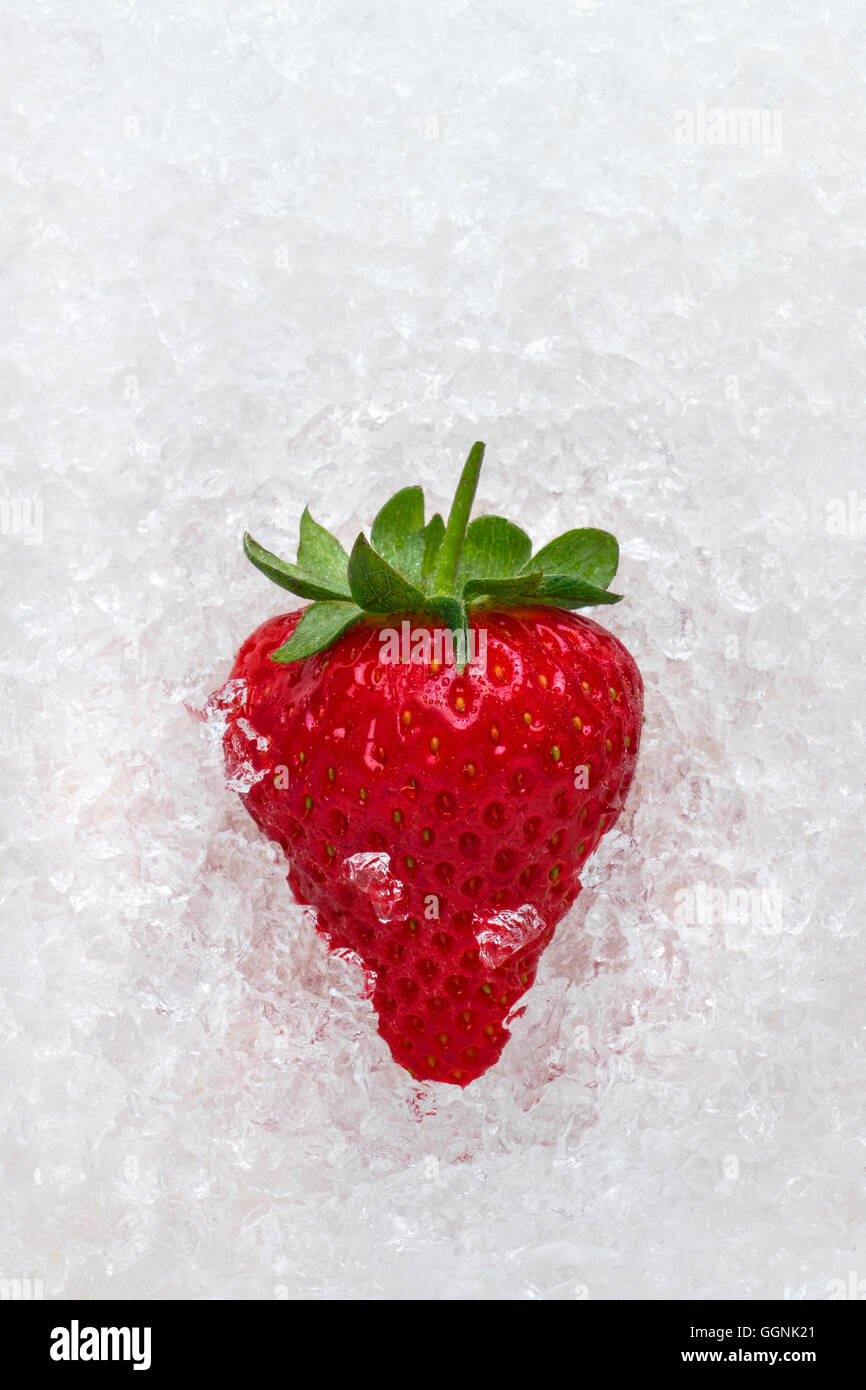 Erdbeere auf Eis Stockfoto