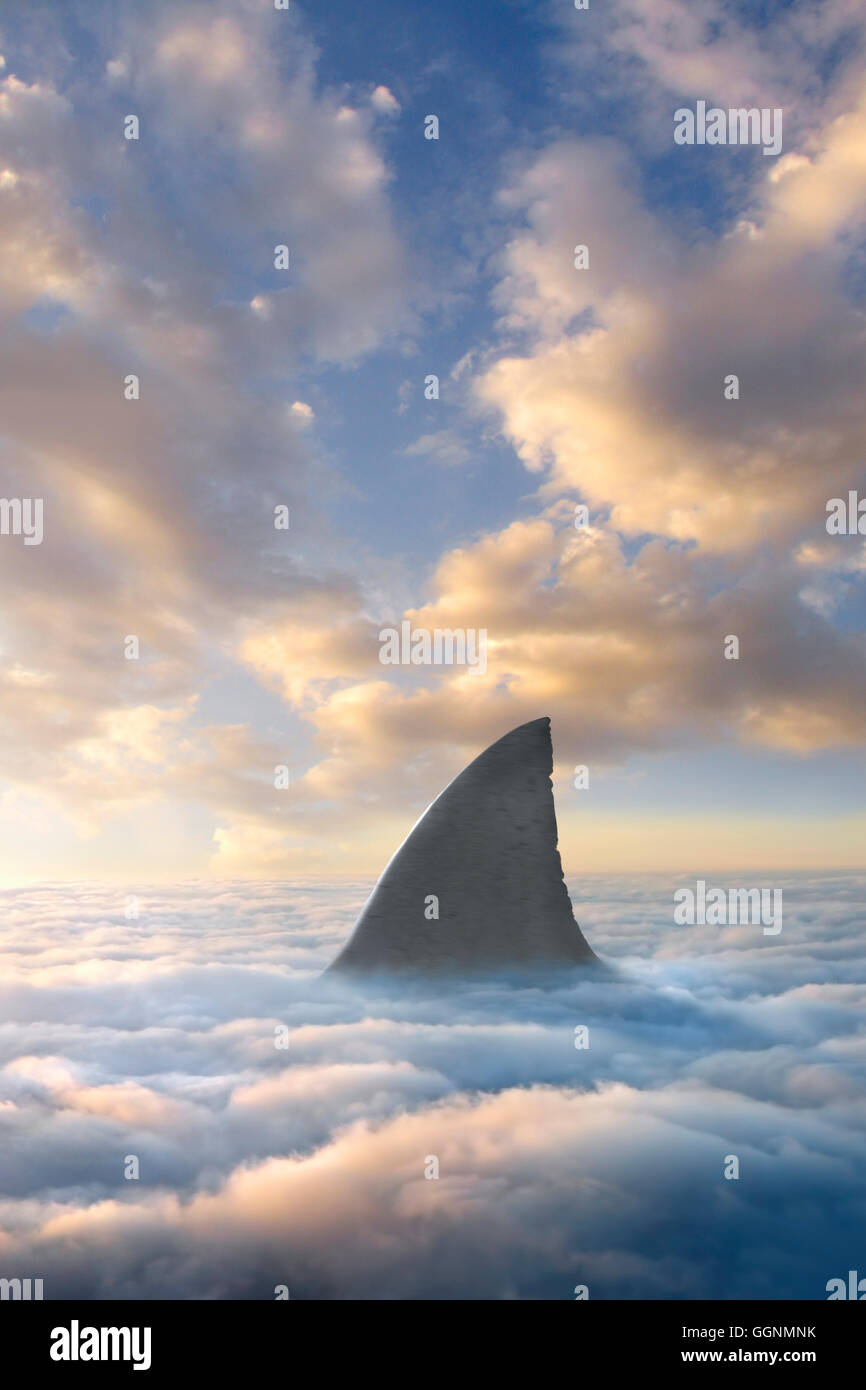 Haifischflosse über Wolken Stockfoto