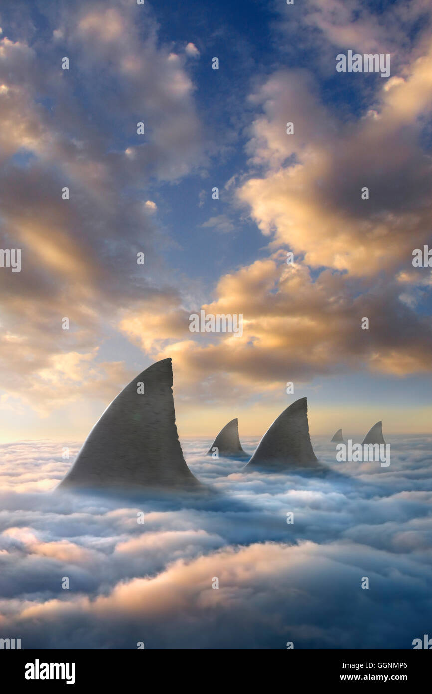 Haifischflossen über Wolken Stockfoto