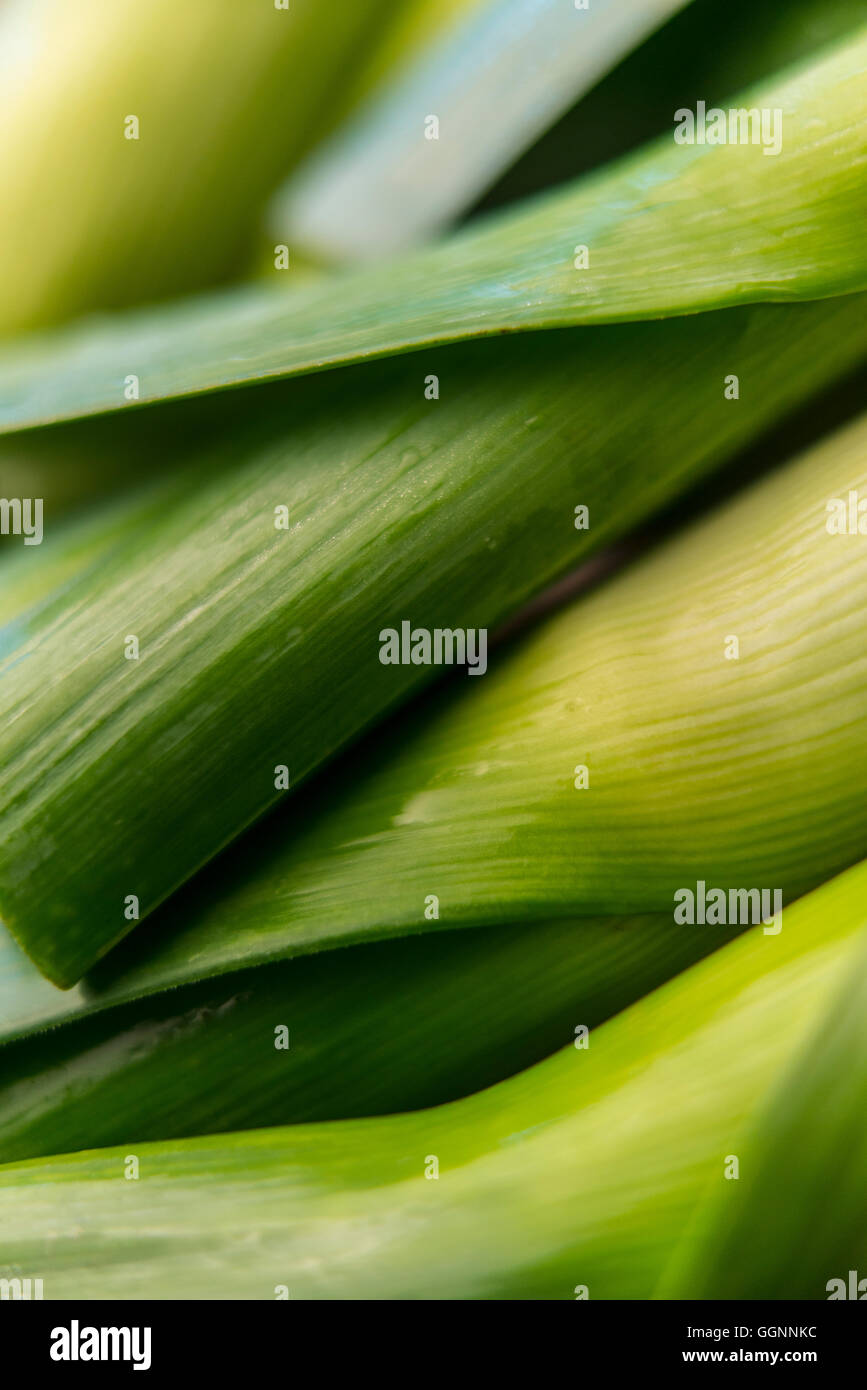 Stiele von grünes Gemüse Stockfoto