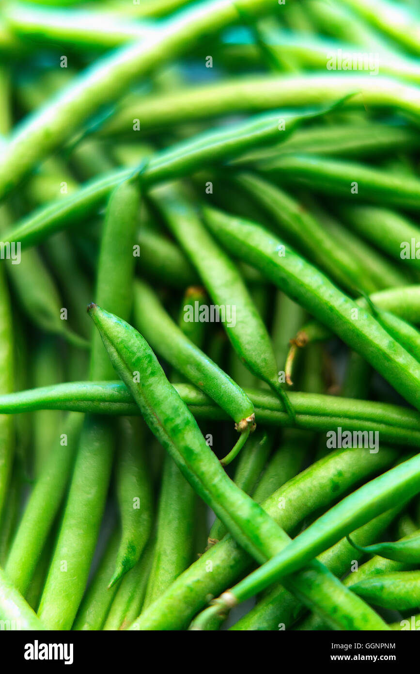 Haufen von frischen grünen Bohnen Stockfoto