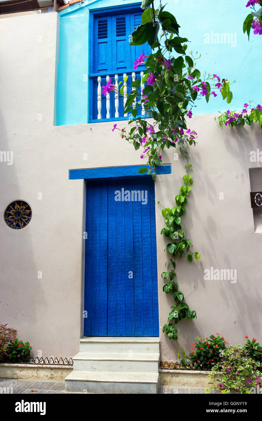 Weiße und blaue Kolonialarchitektur mit üppigen grünen Reben in Cartagena, Kolumbien Stockfoto
