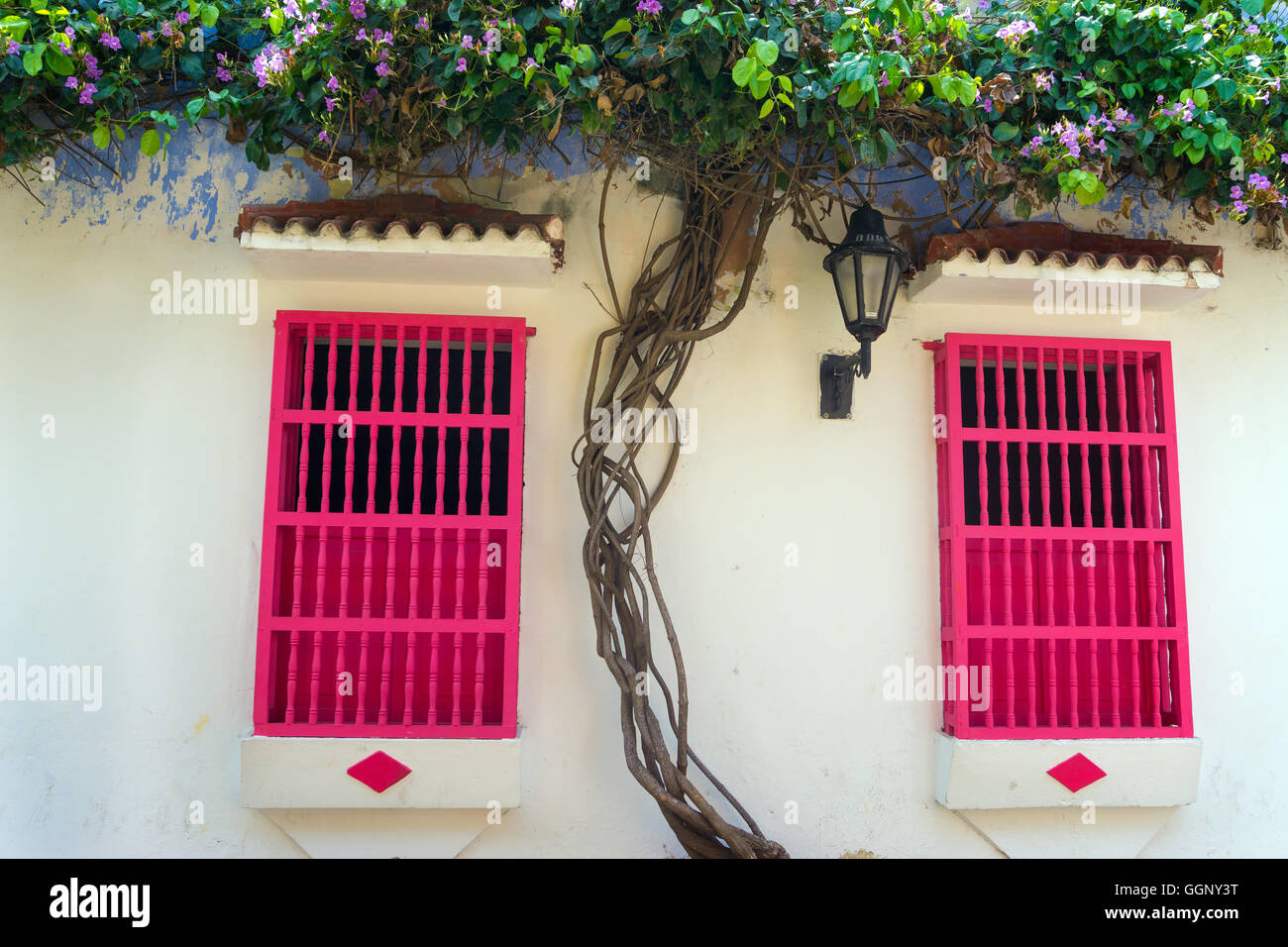 Kolonialarchitektur in der Altstadt von Cartagena, Kolumbien mit weißen Wänden und zwei rosa Fenster Stockfoto