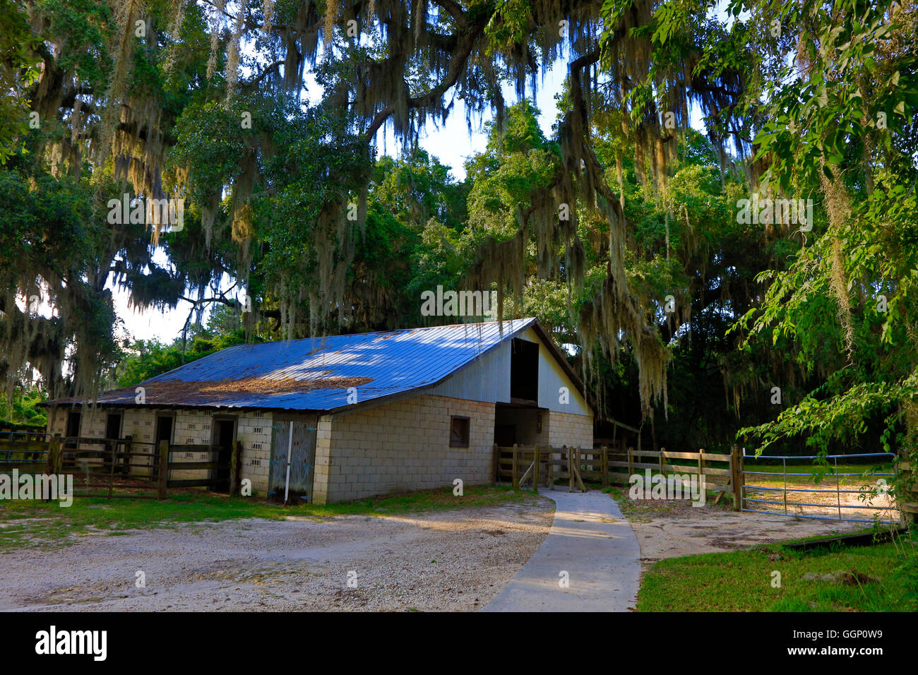 Eine Scheune auf dem La Chua Trail im PAYNES PRAIRIE PRESERVE STATE PARK - GAINESVILLE, FLORIDA Stockfoto