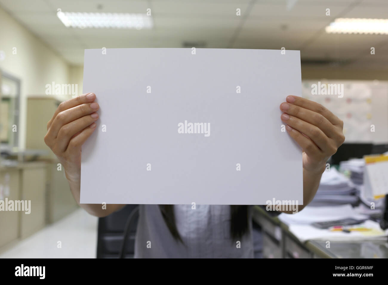 Frau Hand hält ein leeres weißes Papier für Eingabetext Designkonzepte Hintergrund. Stockfoto