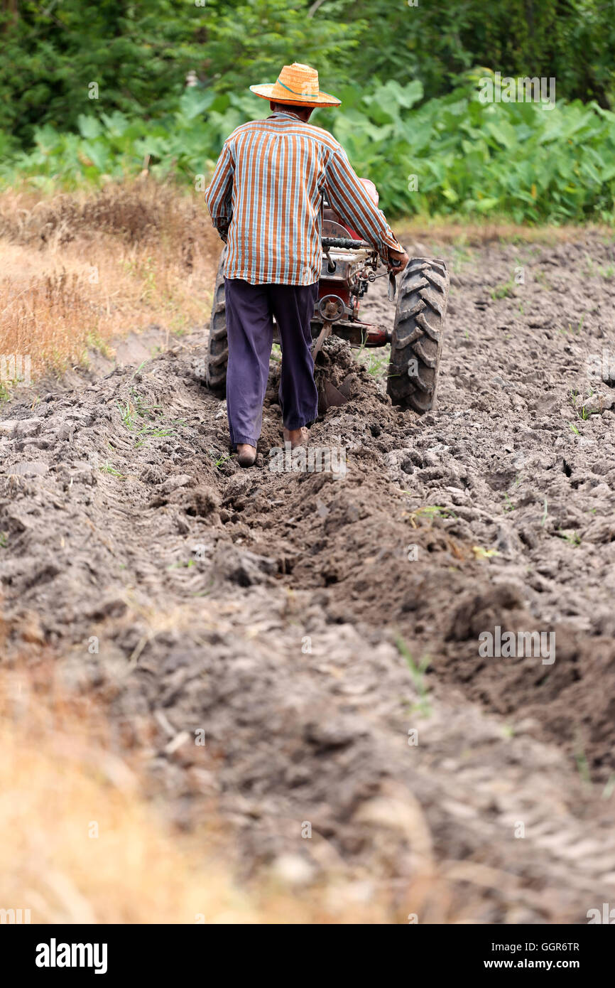 Bauern arbeitet Kontrolle Schubkarre zu Boden Ernte für Reisanbau Bereich zu überholen. Stockfoto