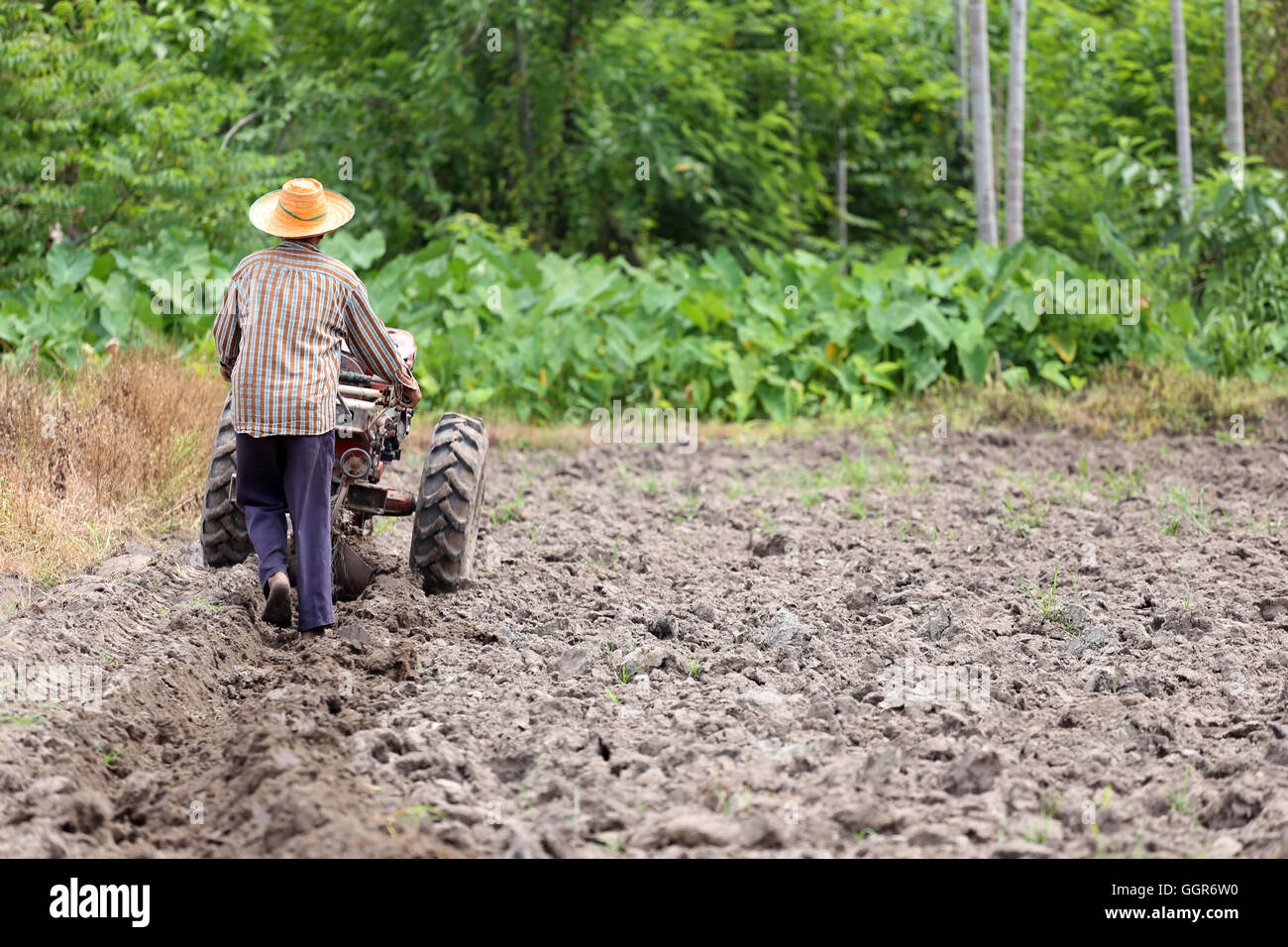 Bauern arbeitet Kontrolle Schubkarre zu Boden Ernte für Reisanbau Bereich zu überholen. Stockfoto
