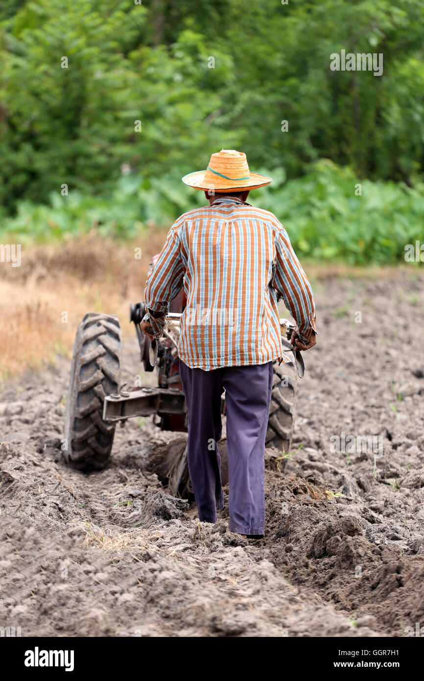 Bauern arbeitet Kontrolle Schubkarre zu Boden Ernte für Reisanbau Bereich zu überholen. Stockfoto