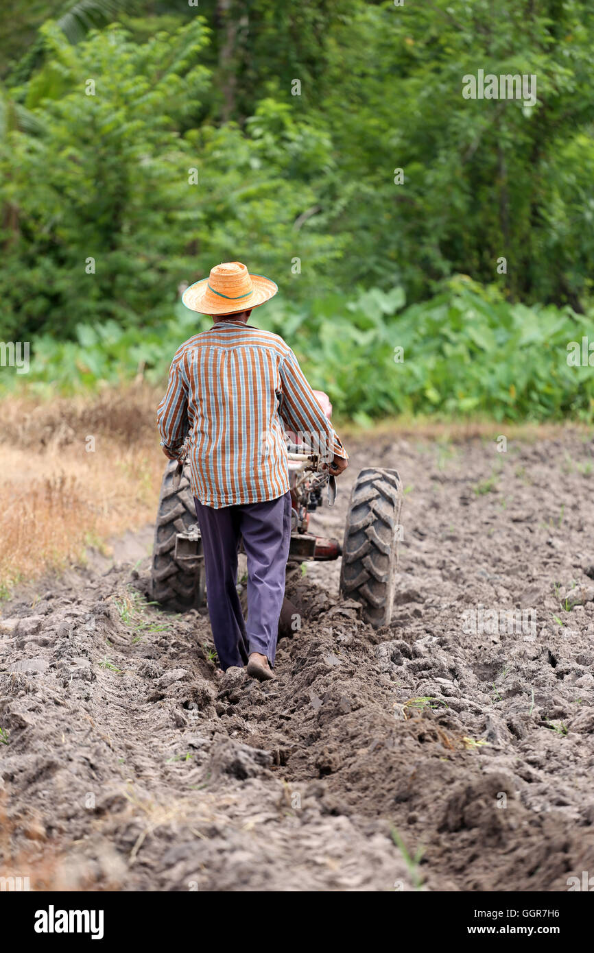 Bauern arbeitet Kontrolle Schubkarre zu Boden Ernte für Reisanbau Bereich zu überholen. Stockfoto