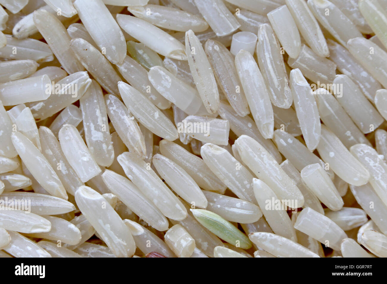 Haufen von Bio Naturreis Natur Essen als Hintergrund Kornreis ist Insekt Käfer Bissen Essen und beschädigt werden. Stockfoto