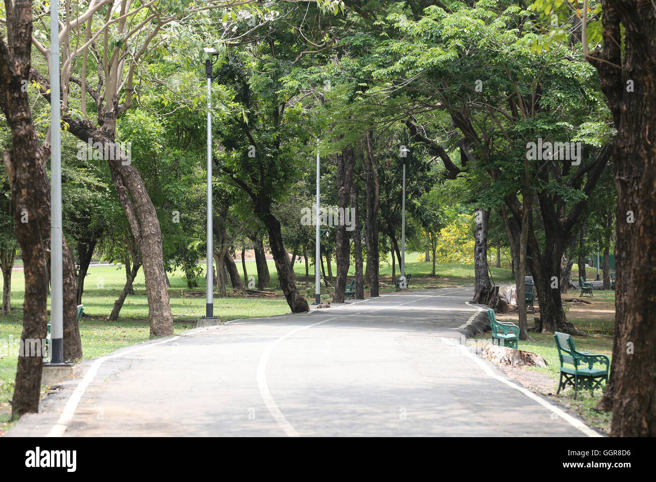 Straße im öffentlichen Park in der Tageszeit. Stockfoto