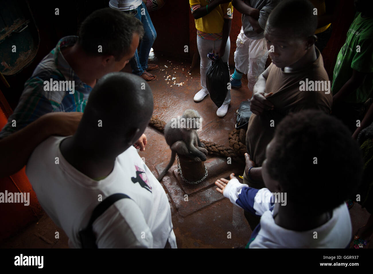 Freetown, Sierra Leone - 1. Juni 2013: Fähre nach Freetown, ein Affe Stockfoto