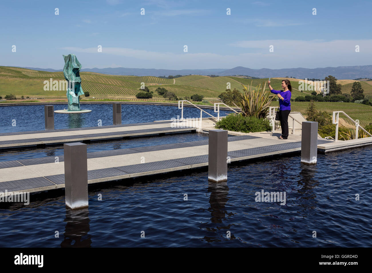 Reflecting Pool, Statue von Gordon Huether, Artesa Weinberge und Weinkeller, Carneros region, Napa Valley, Kalifornien, USA Stockfoto