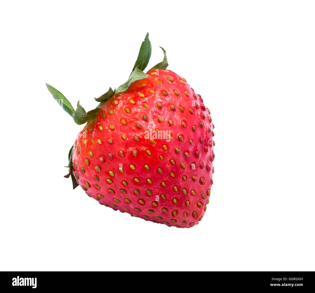 Einzelne Erdbeere isoliert auf weißem Hintergrund und Clipping-Pfad Stockfoto