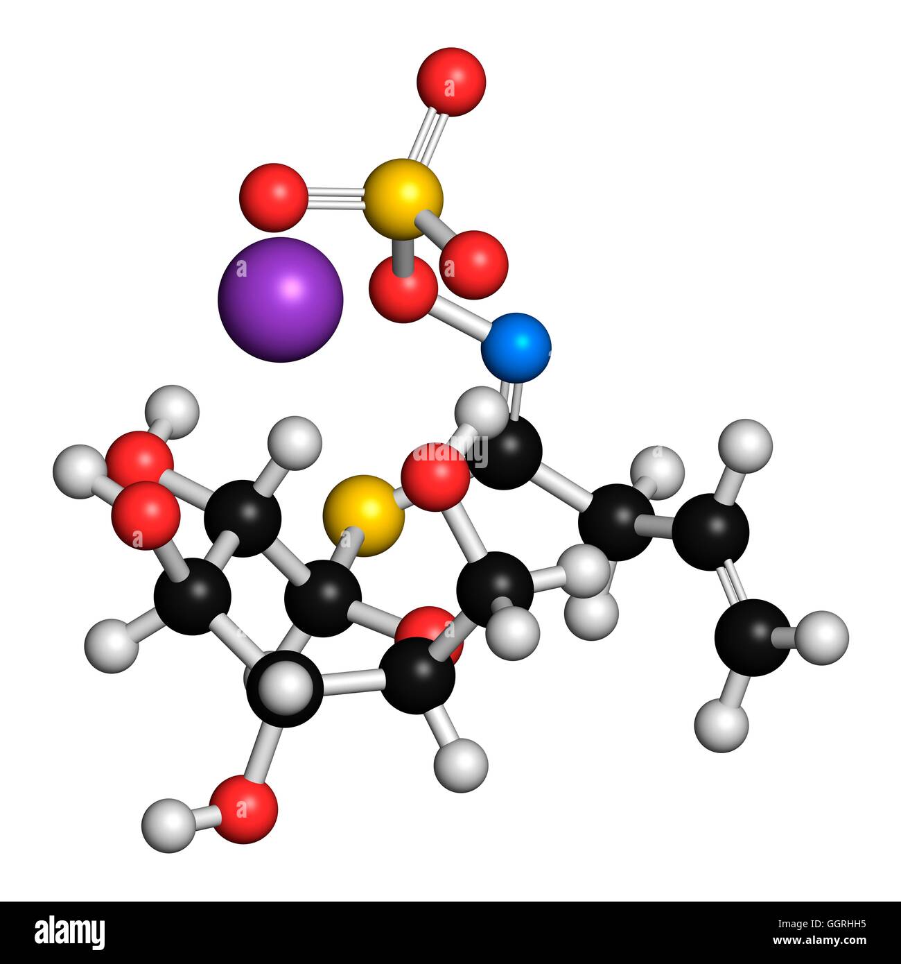 Sinigrin Glucosinolat Molekül. Präsentieren Sie in einige Kreuzblütler Gemüse (Rosenkohl, Brokkoli, schwarzer Senf, usw.). 3D-Rendering. Atome werden als Kugeln mit konventionellen Farbkodierung dargestellt: Wasserstoff (weiß), Kohlenstoff (schwarz), Sauerstoff (rot), Nitro Stockfoto