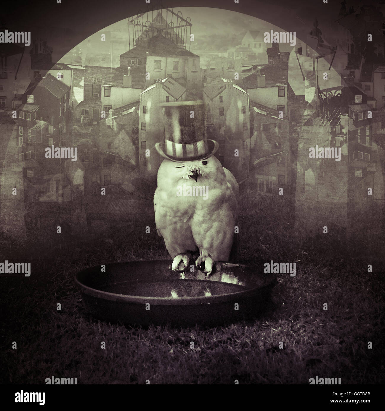 weiße Eule einen viktorianischen Hut surreal Stockfoto