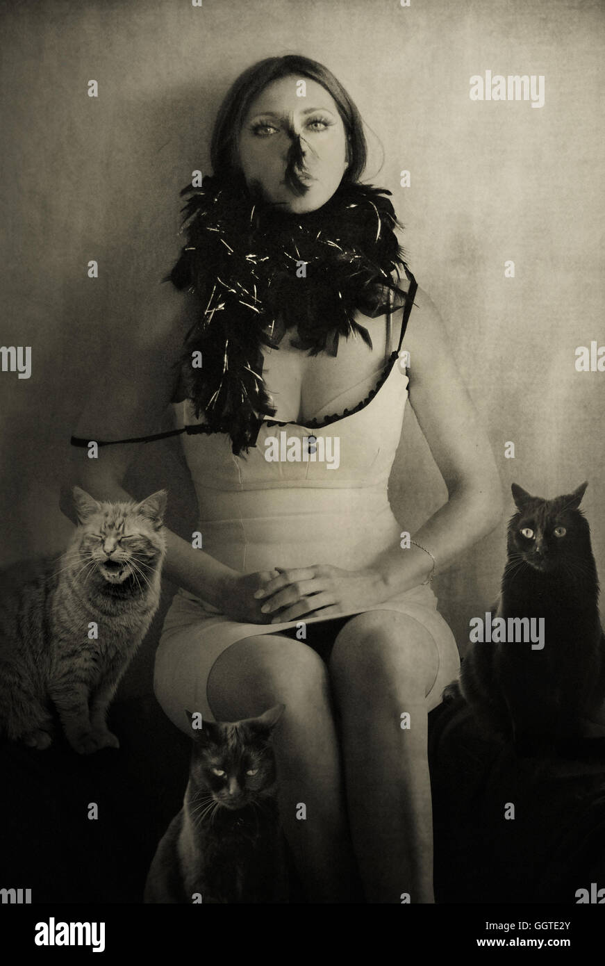 dunkle Haare Frau im Raum mit drei Katzen Stockfoto