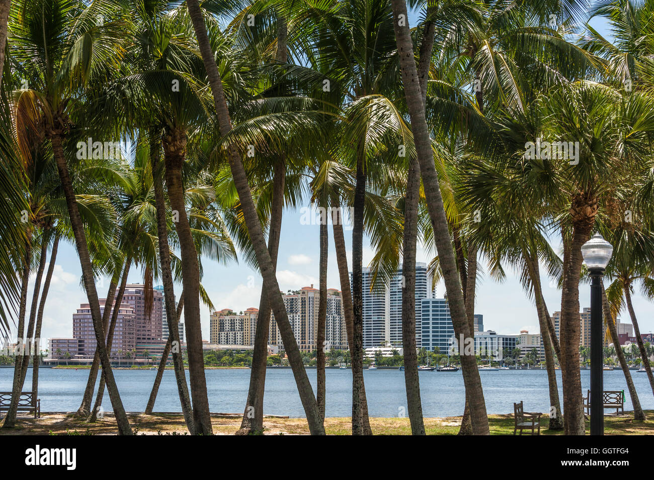 Palm Beach Inselansicht unter einem Baldachin von Palmen der Skyline von West Palm Beach in Süd-Florida. (USA) Stockfoto