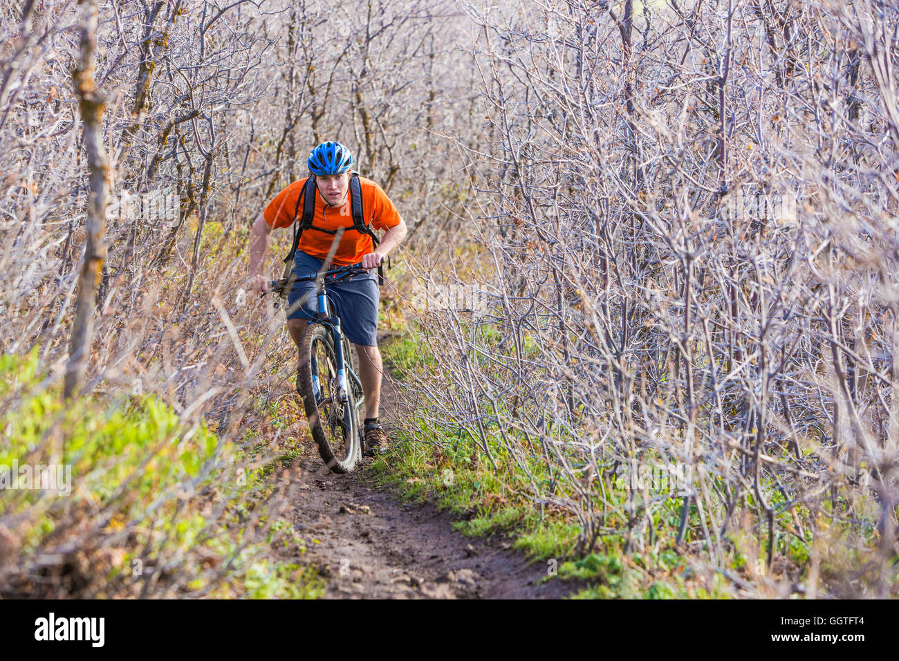 Kaukasischen Mann Reiten Mountainbike im Wald Stockfoto
