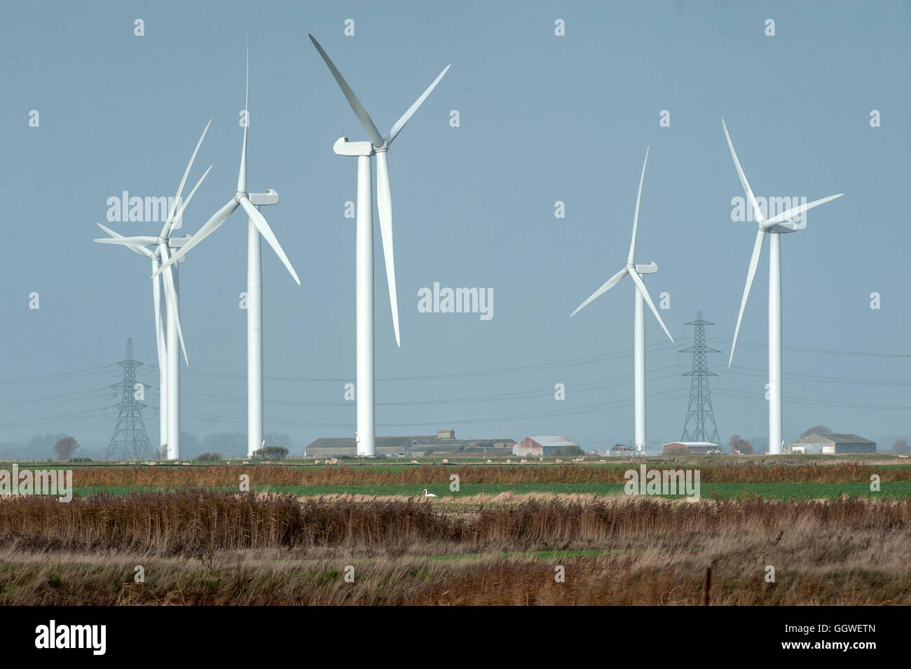 Strommasten und Windkraftanlagen in Kent. Stockfoto