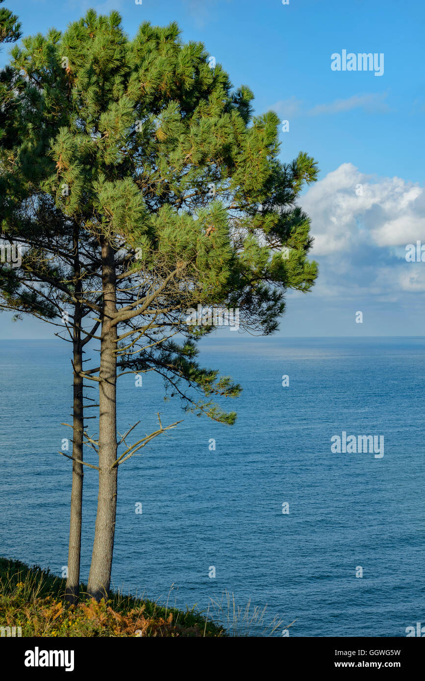 Panoramablick über den Strand San Julian, Liendo, Kantabrien, Spanien, Europa Stockfoto