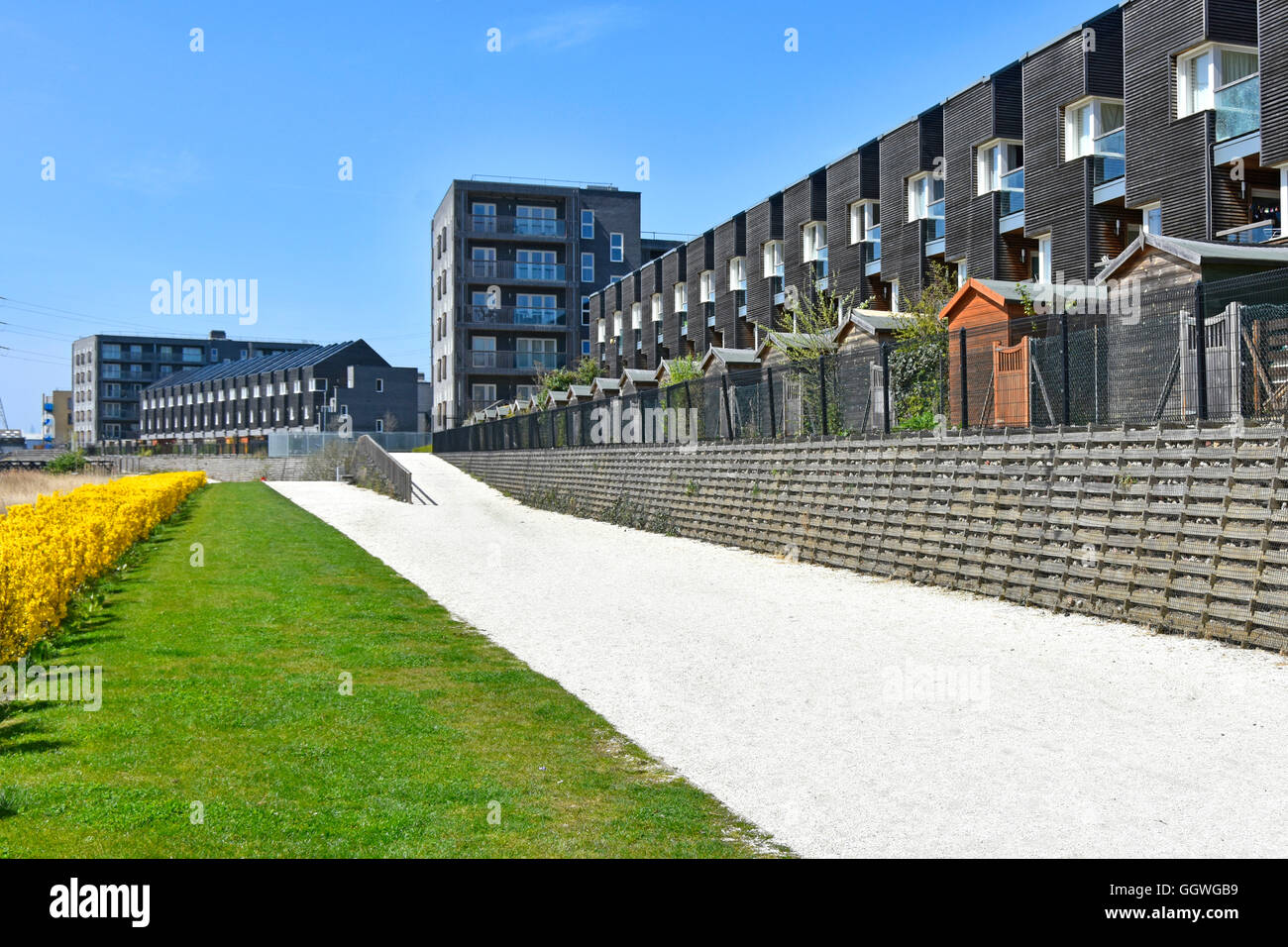 Moderne Reihenhäuser Gehäuse auf Neuregelung "Bellen Riverside" Regeneration mit weißem Kies Fußweg in London Borough of Barking und Dagenham England Stockfoto