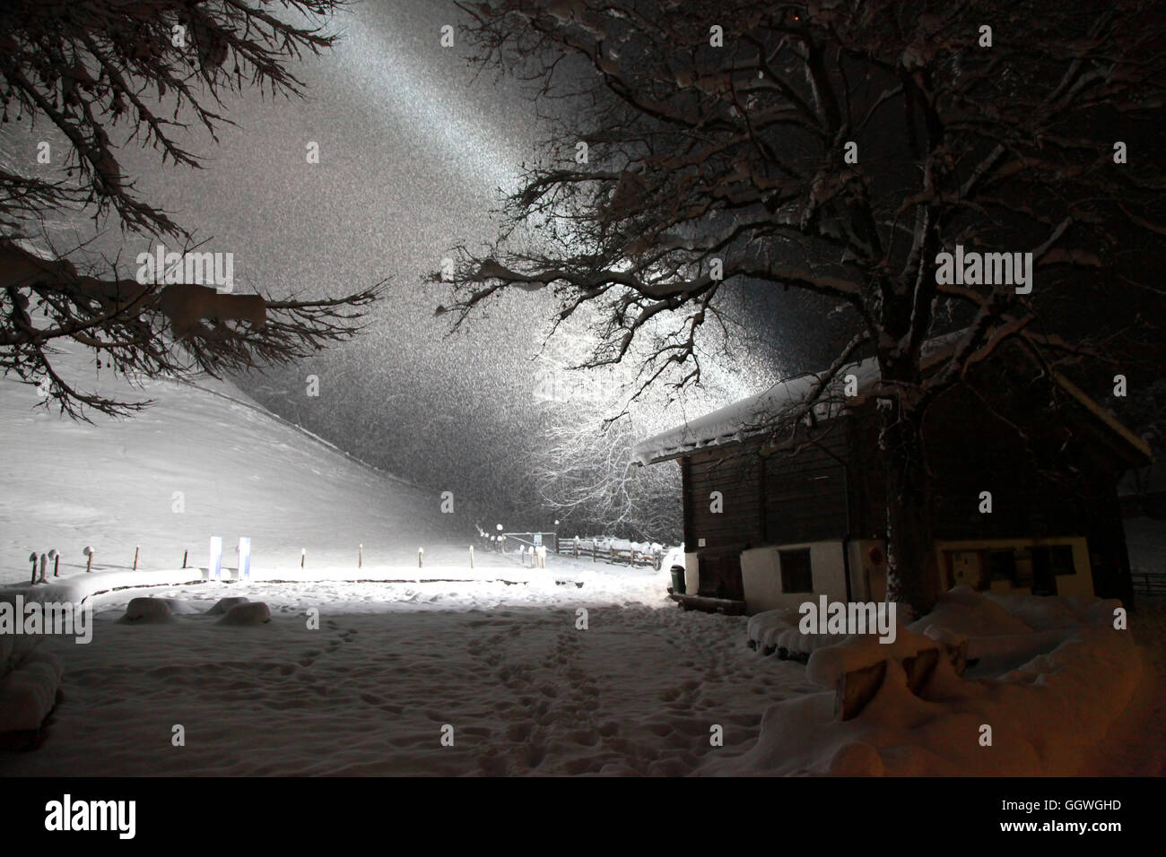 Swiss alpine Unterstand für Tiere wird durch einen Schneesturm verschlungen. Stockfoto