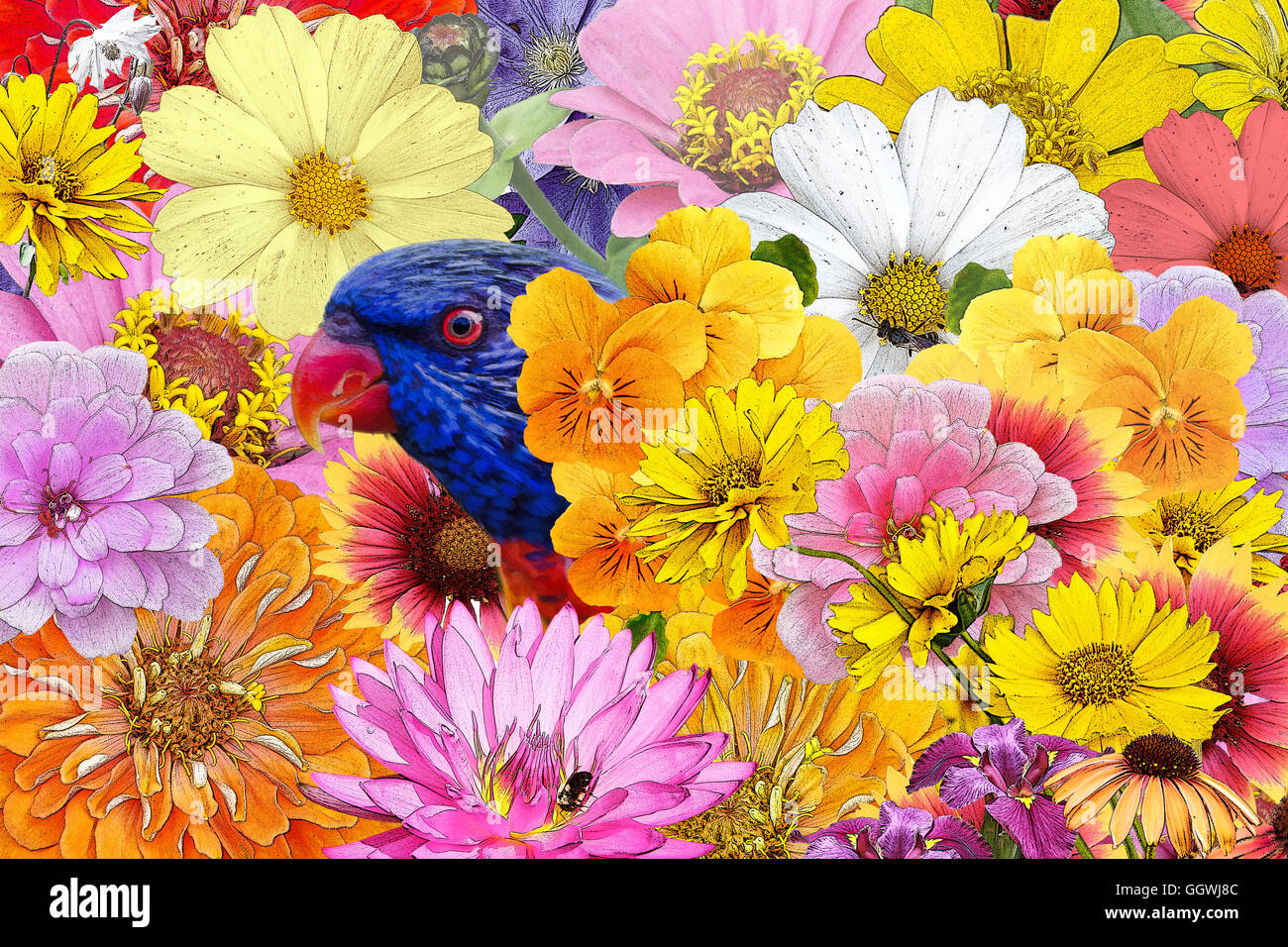 Pretty Polly.  Papagei, Lorikeet, in leuchtenden Blüten. Stockfoto