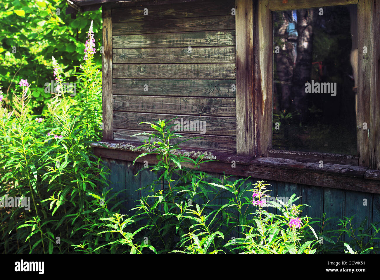 Alten Schuppen im Sommer Stockfoto