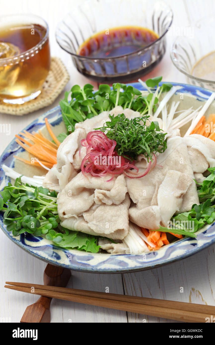 Rei Shabu, kalte Schweinefleisch Salat, japanische Sommer-Kulinarium Stockfoto