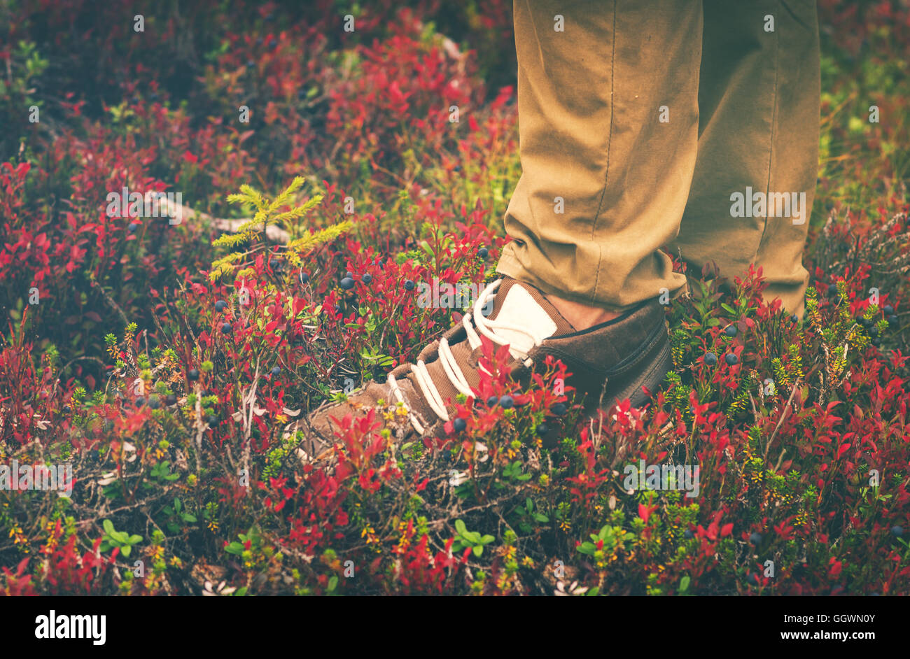 Füße Mann Sneakers Schuhe Wandern Outdoor Reisen Lifestyle Mode trendy Stil Wald Natur auf Hintergrund Stockfoto