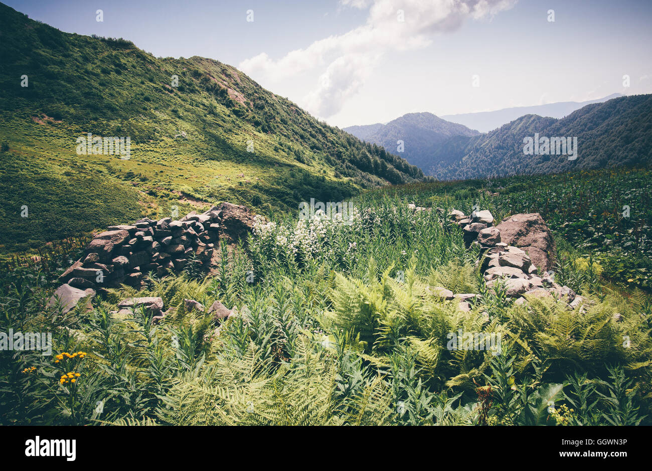Bergen, grünen Tal mit alten Steinen Zaun Landschaft Sommer Reisen Panoramablick in Abchasien Stockfoto