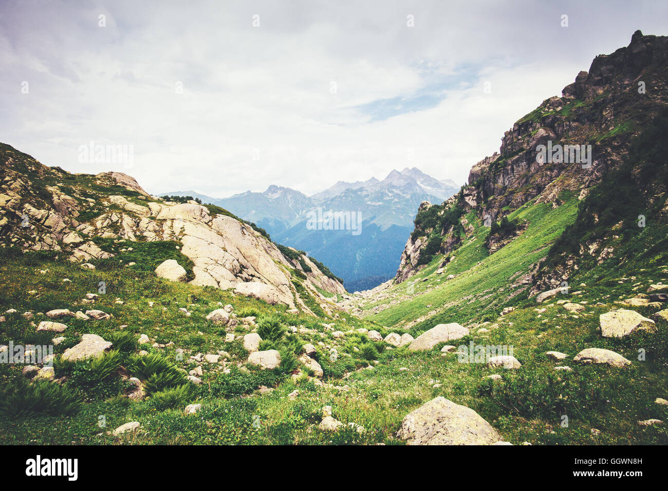 Rocky Mountains Landschaft grün Tal Sommer Reisen heiteren Blick Stockfoto