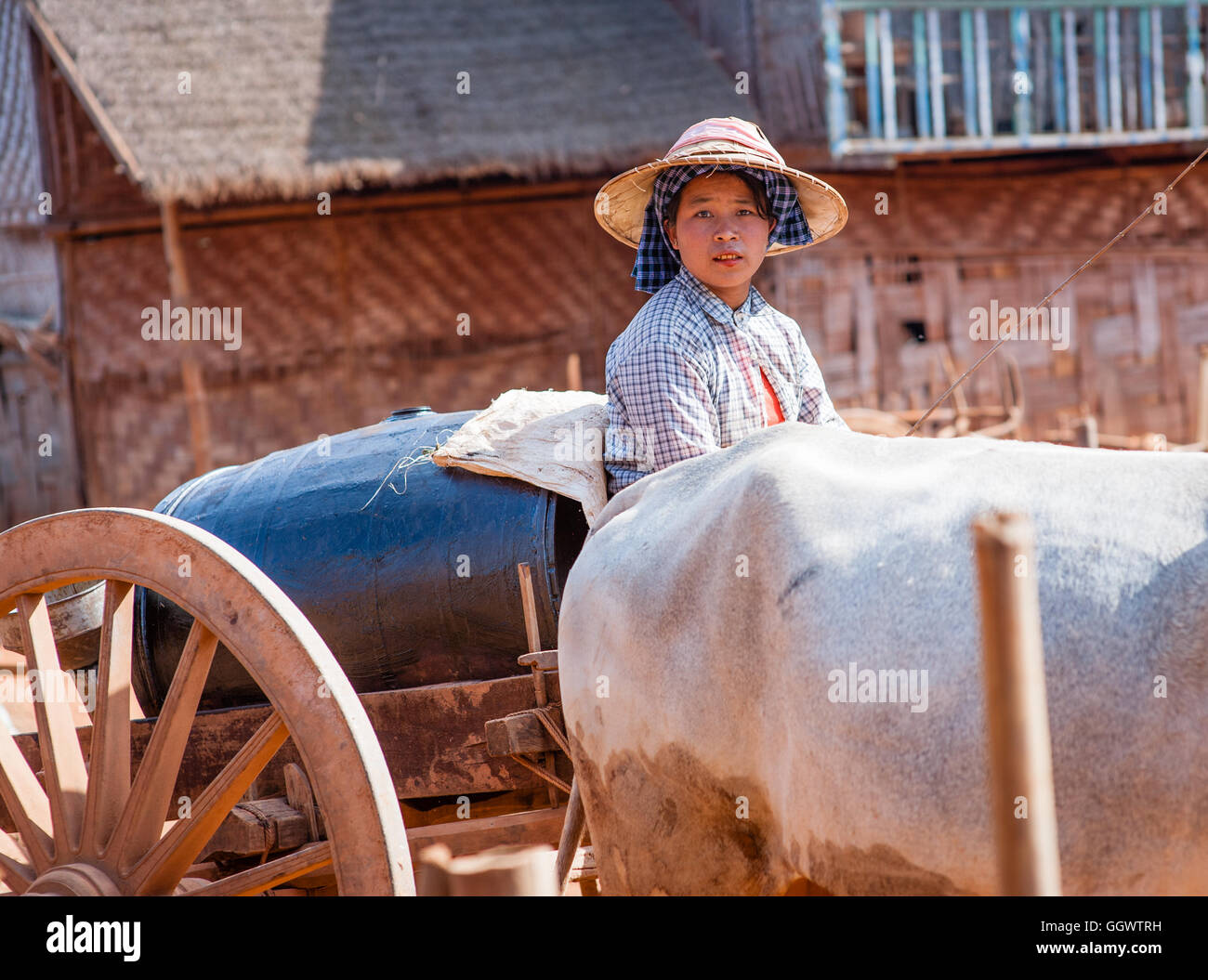 Burmesische Frau auf Wagen Stockfoto