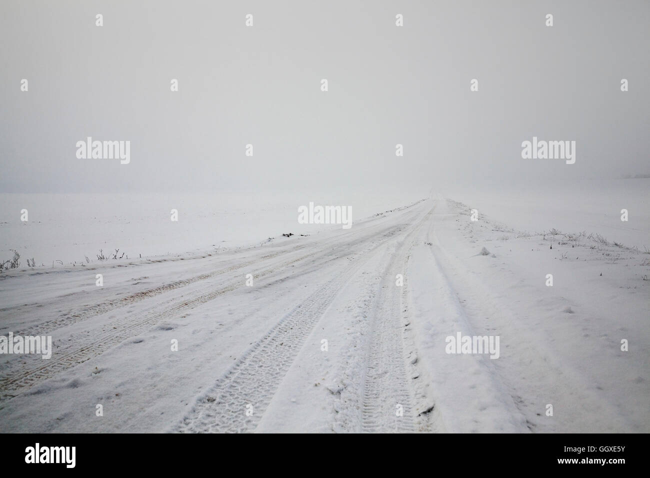 Straße im winter Stockfoto