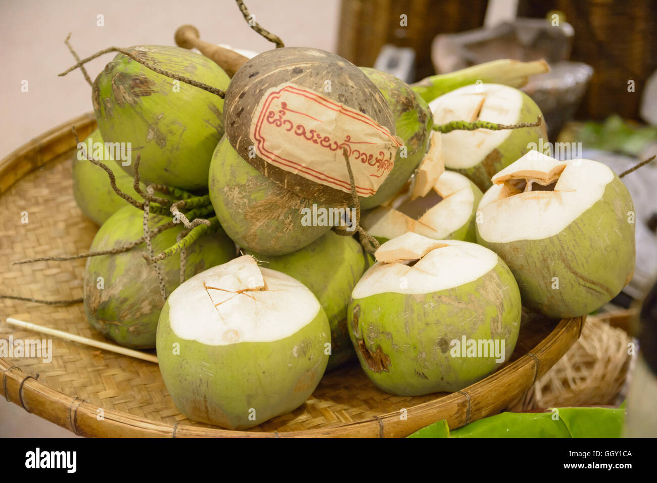 Coco-Nuss-Kultur von thailand Stockfoto