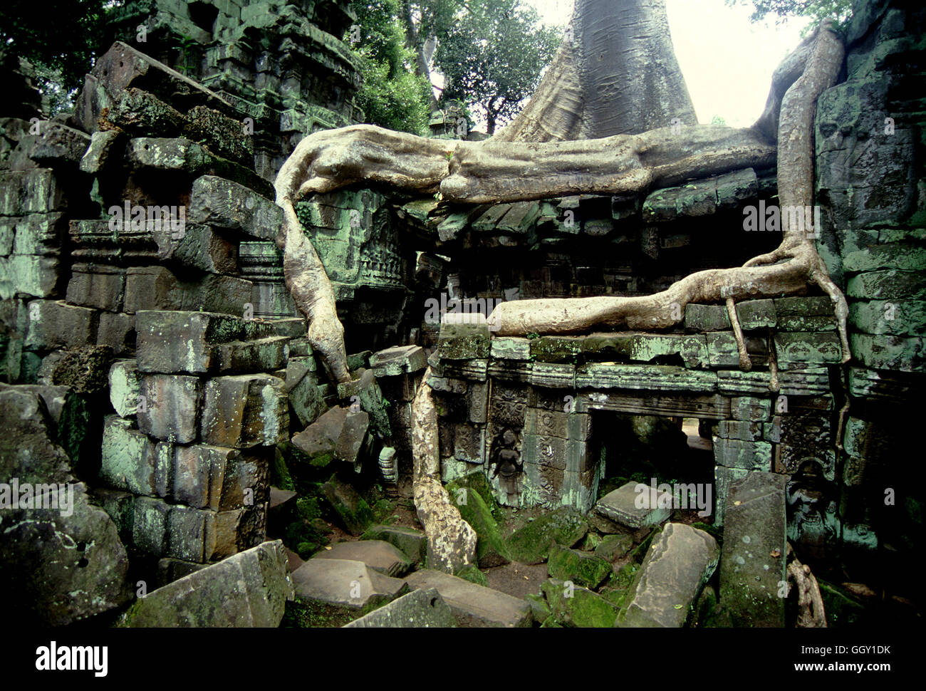 Innenhof von der Tempel Ta Prohm in Angkor Wat. Stockfoto
