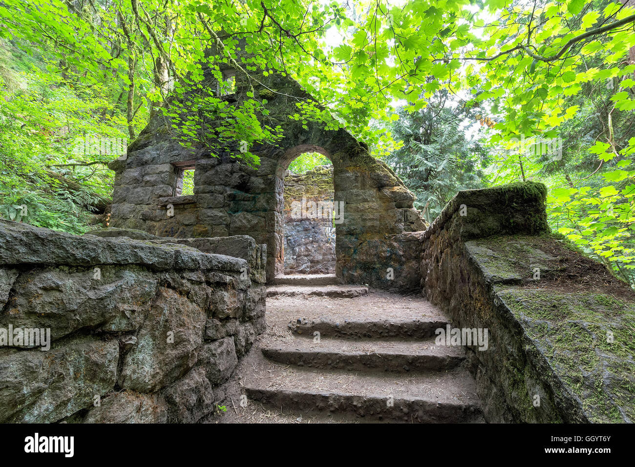Verlassene Steinburg Haus umrahmt von Ahornbäumen Wildwood-Trail in Forest Park Portland, Oregon Stockfoto