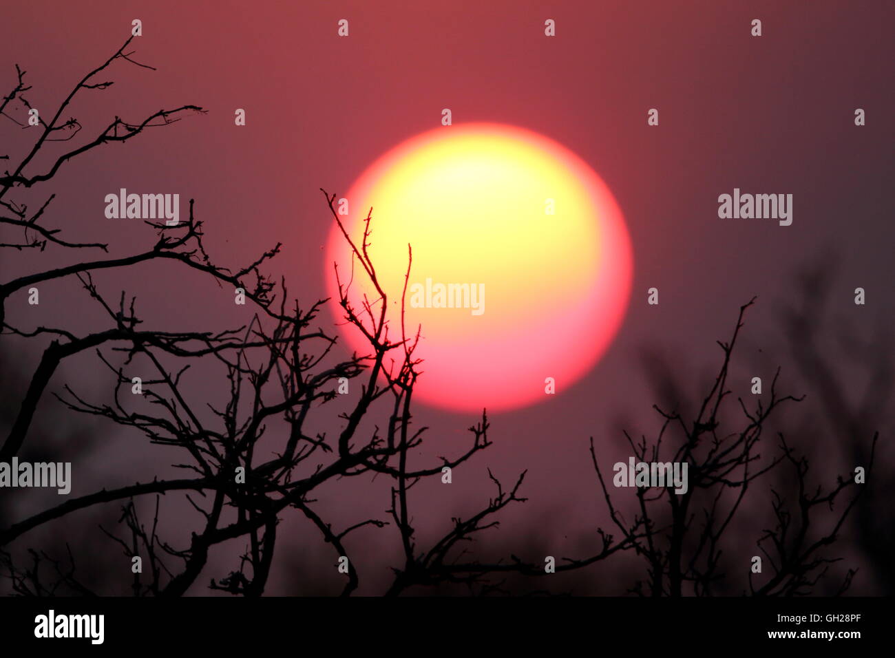 Die afrikanische Sonne Stockfoto