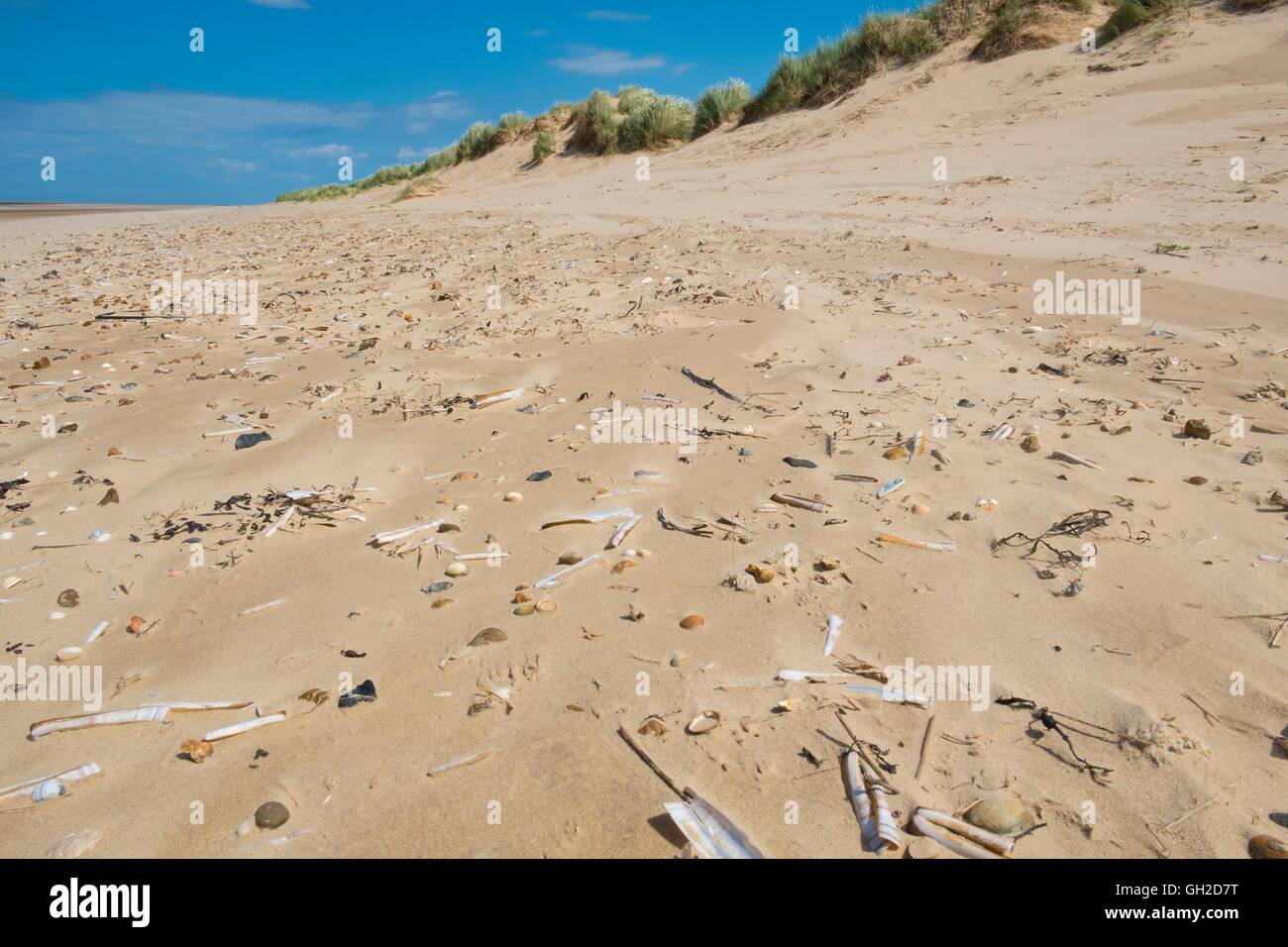 Blick auf Sandstrand, übersät mit Muscheln, Norfolk, England, Juli. Stockfoto