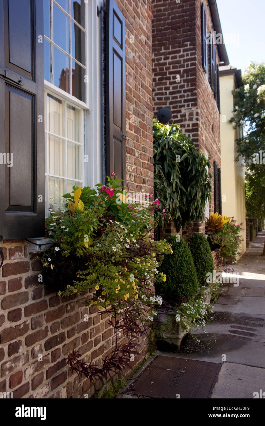 Föderalen Stil Häuser mit Blumenkästen auf historischen König st. in Charleston, South Carolina. Stockfoto