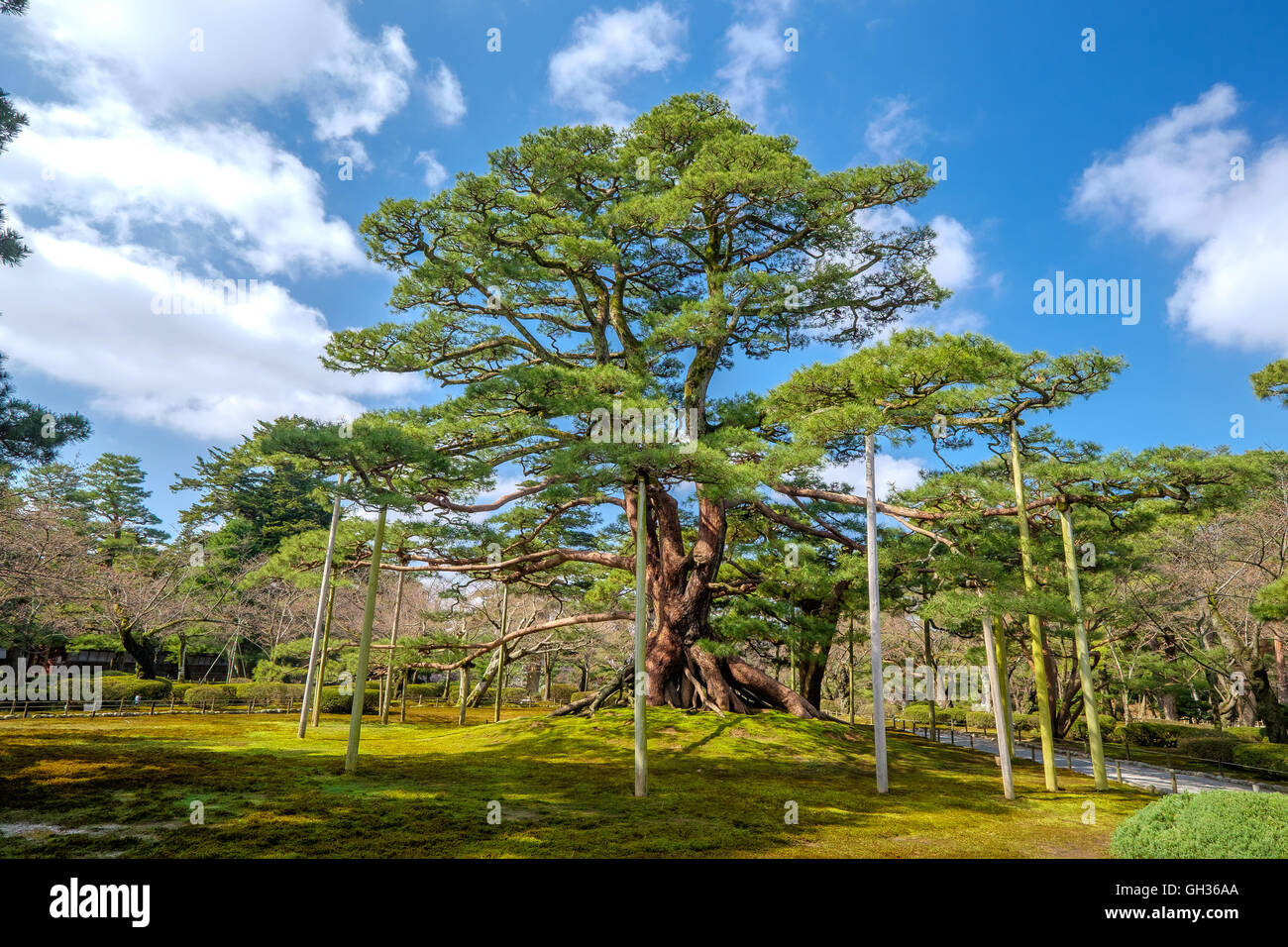 Schöne erholsame Natur in den typisch japanischen Garten Stockfoto