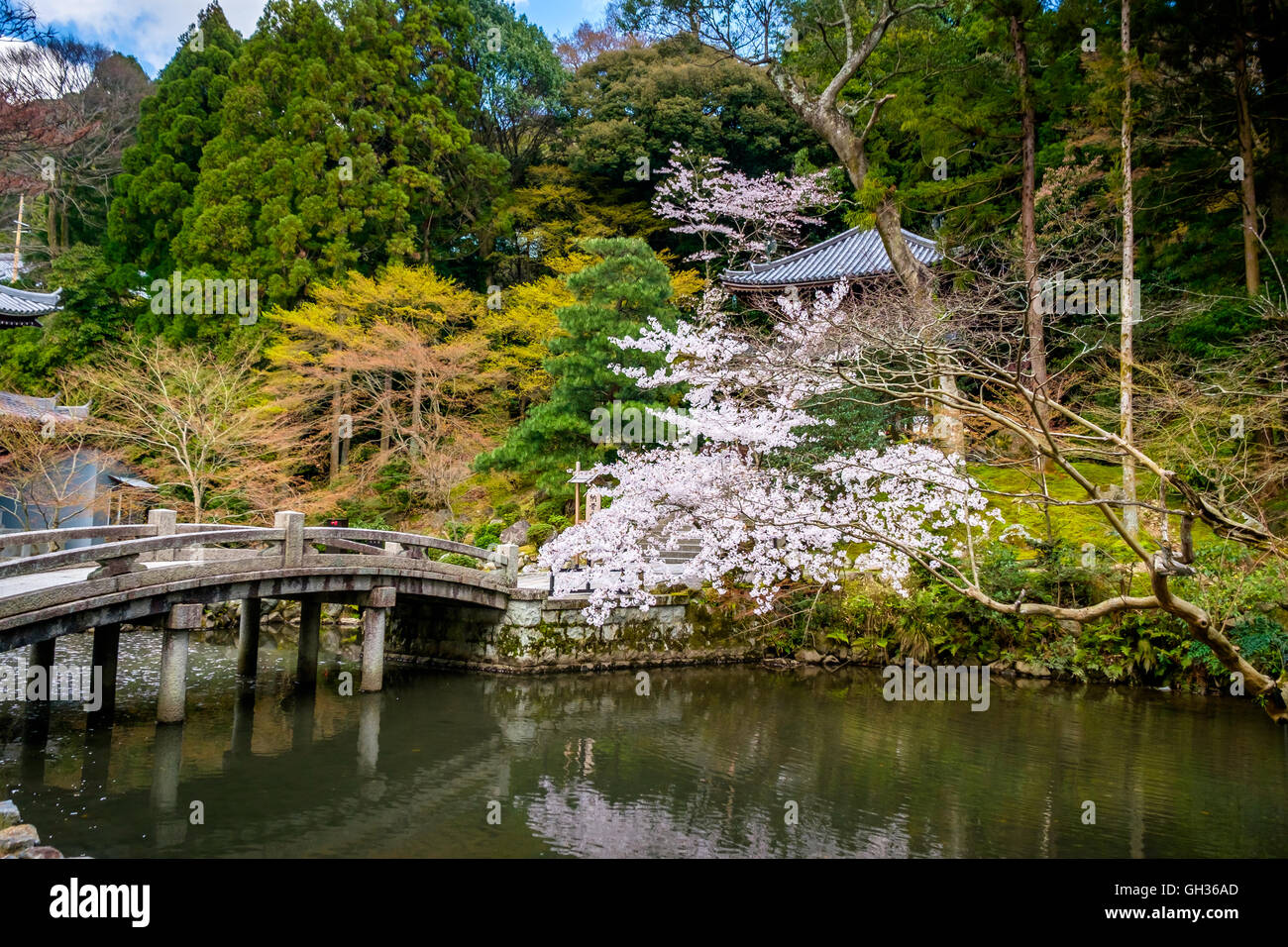 Schöne erholsame Natur in den typisch japanischen Garten Stockfoto