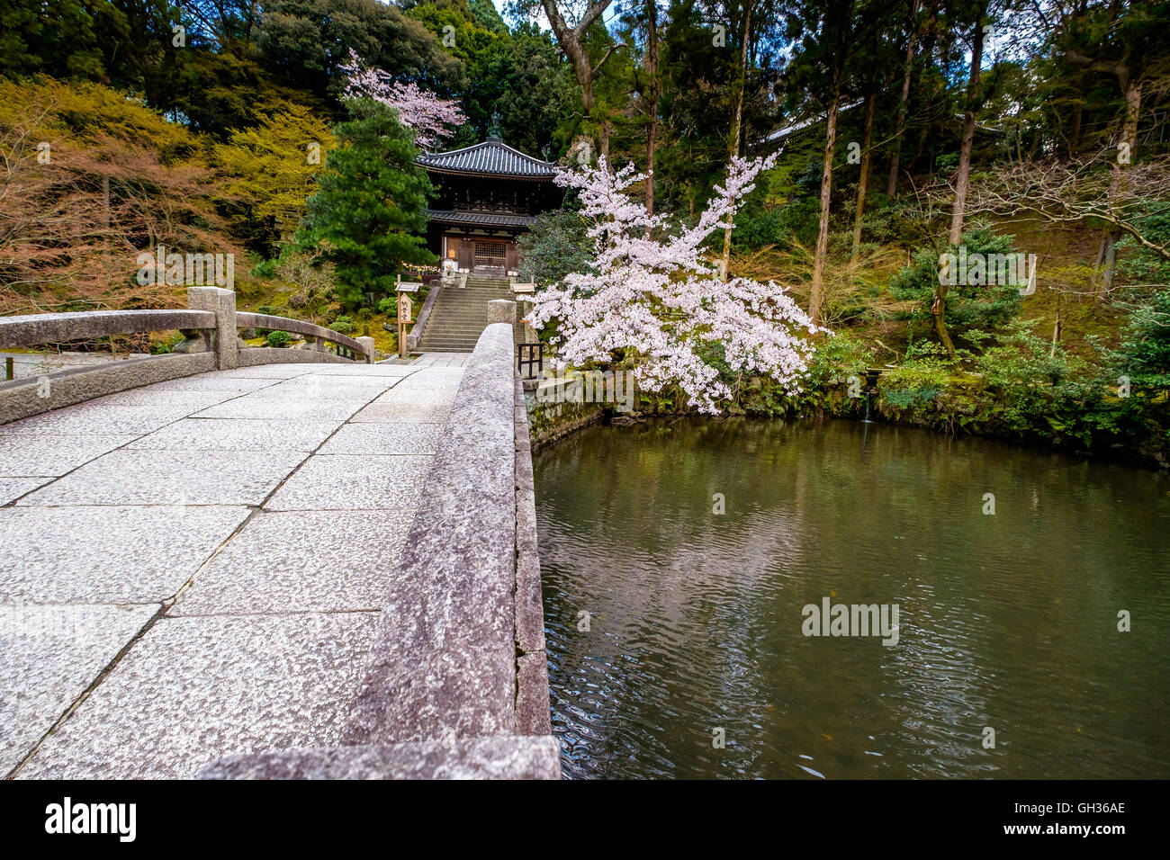 Schöne erholsame Natur in den typisch japanischen Garten Stockfoto