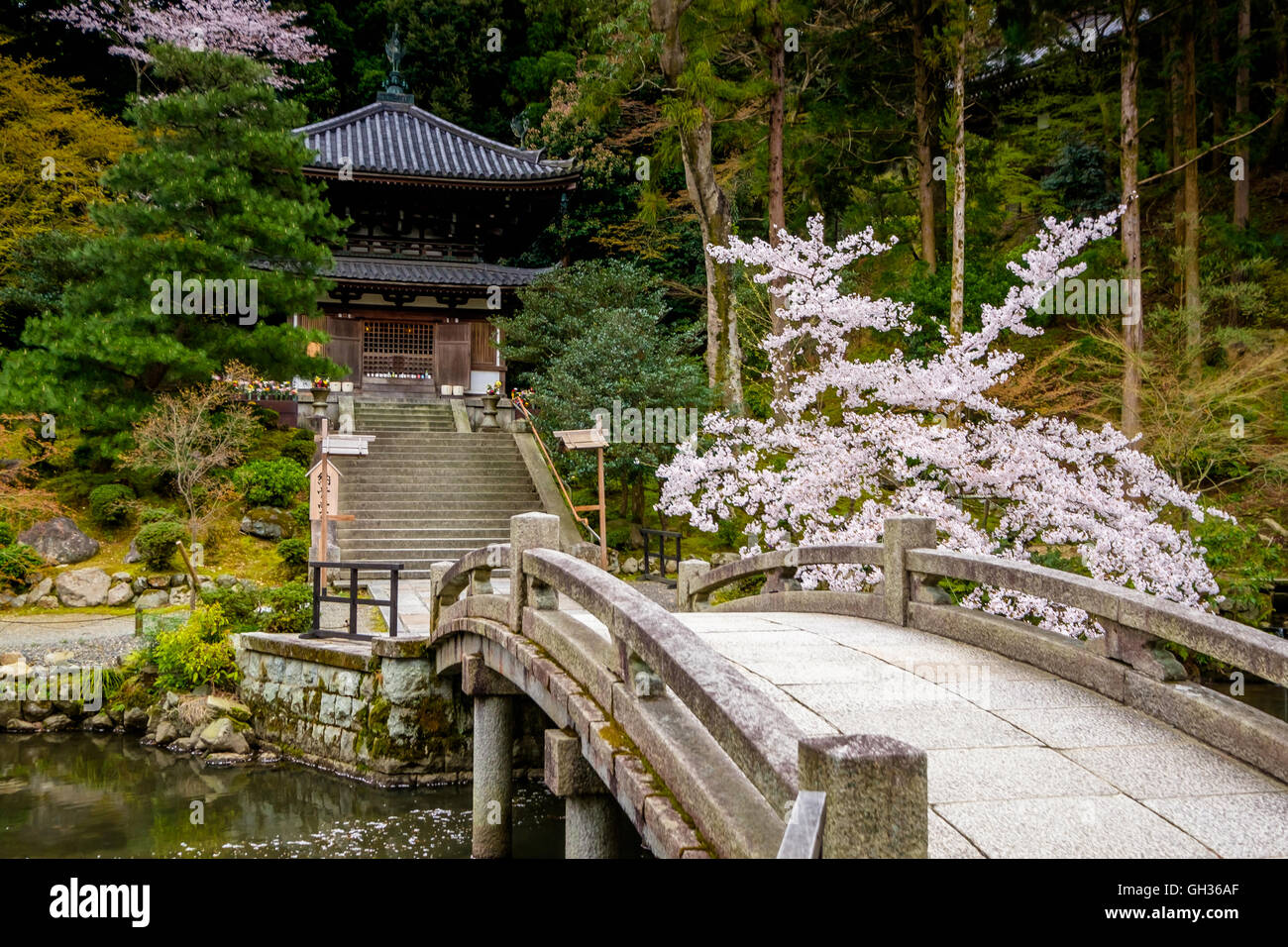 Schöne erholsame Natur in den typisch japanischen Garten Stockfoto