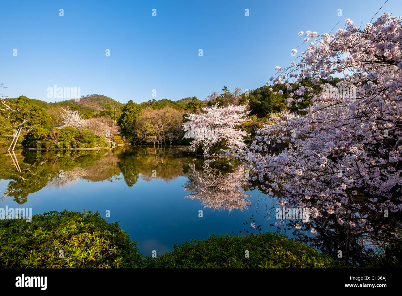 Schöne erholsame Natur in den typisch japanischen Garten Stockfoto
